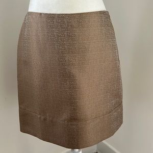 Ann Taylor Deep Gold/Taupe Shiny A Line Skirt sz 8